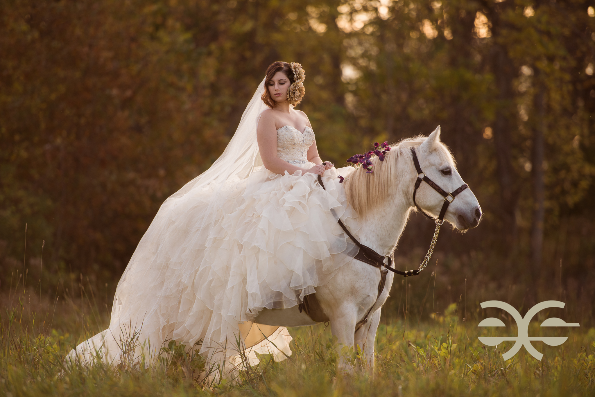 A bride with her horse in Buffalo, NY