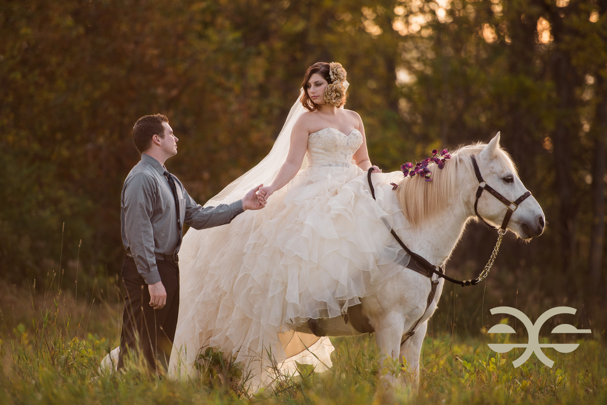 A bride and groom with their horse in Buffalo, NY
