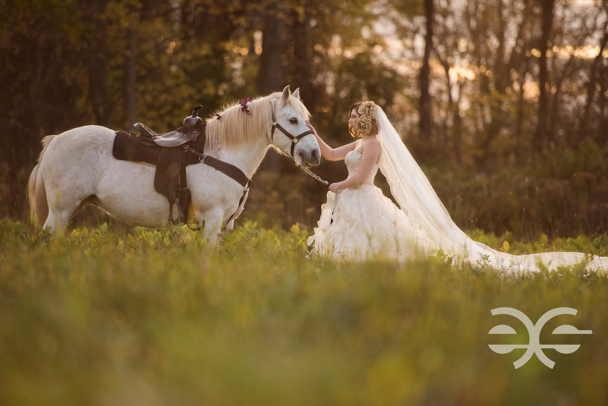 Bridal Portraits in Buffalo, NY Image