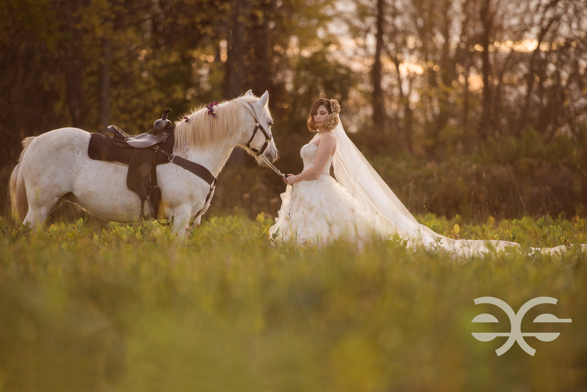 A bride and her horse in Buffalo, NY