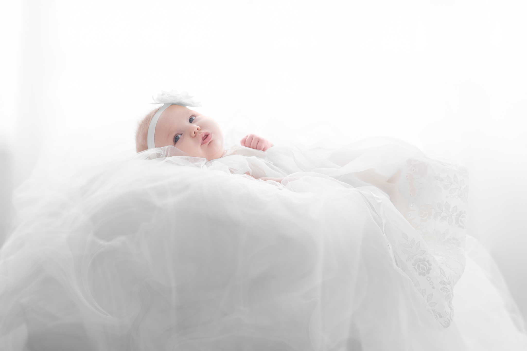 Baby Photography in Buffalo, NY Image